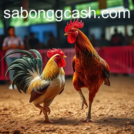 The Rise of Sabong and Digital Payments