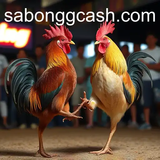 The Rise of Sabong in Digital Age